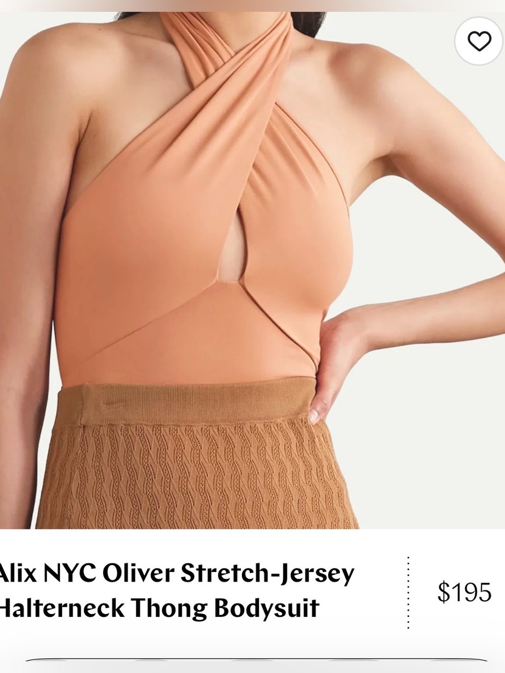 ALIX NYC Halter  Bodysuit in Nude- Net- a-Porter